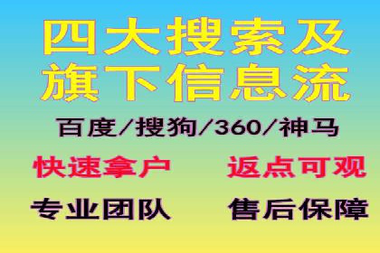 SEM推广代运营实战案例详解